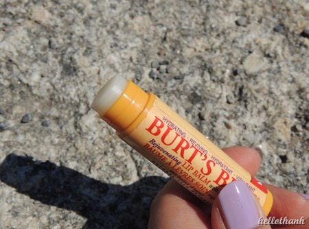 Burts Bees (10)
