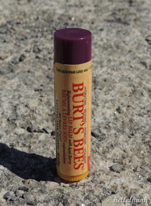 Burts Bees (7)