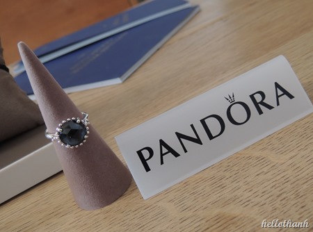 Pandora Fall Winter 2014 (52)